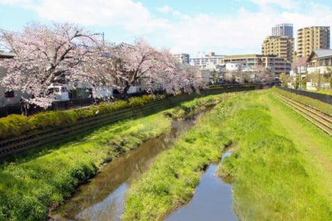 都心に隣接・自然が残る理想的な環境